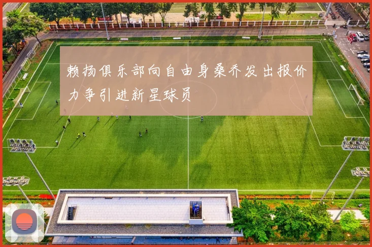 赖扬俱乐部向自由身桑乔发出报价力争引进新星球员
