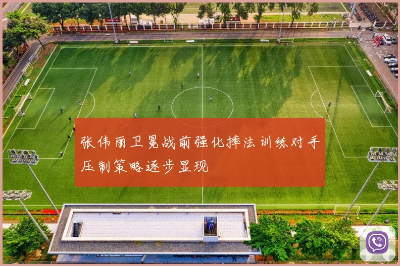 张伟丽卫冕战前强化摔法训练对手压制策略逐步显现